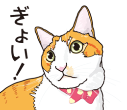 Friend of a pleasant cat 02 sticker #8204983