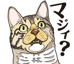 Friend of a pleasant cat 02 sticker #8204984