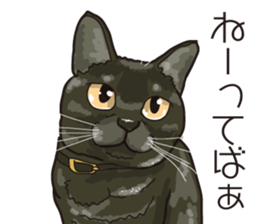 Friend of a pleasant cat 02 sticker #8204985