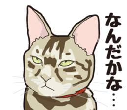 Friend of a pleasant cat 02 sticker #8204987