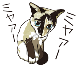 Friend of a pleasant cat 02 sticker #8204988