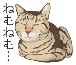 Friend of a pleasant cat 02 sticker #8204989