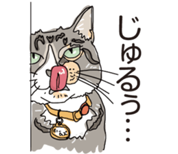 Friend of a pleasant cat 02 sticker #8204990