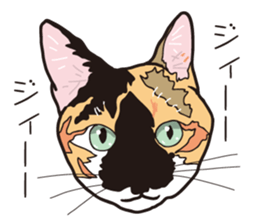 Friend of a pleasant cat 02 sticker #8204993