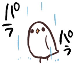 The Java sparrow which tells the weather sticker #8205724