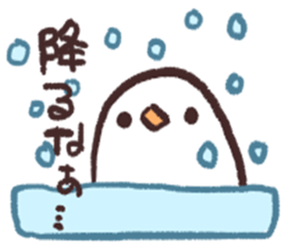 The Java sparrow which tells the weather sticker #8205729