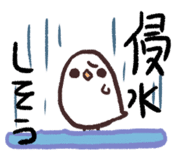 The Java sparrow which tells the weather sticker #8205734