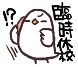 The Java sparrow which tells the weather sticker #8205742