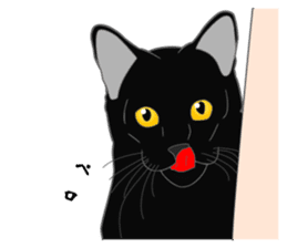 Love of Rial-based black cat sticker #8207158