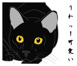 Love of Rial-based black cat sticker #8207160