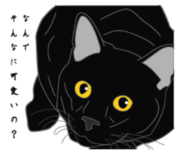 Love of Rial-based black cat sticker #8207161