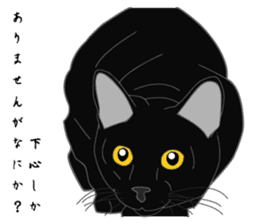 Love of Rial-based black cat sticker #8207162
