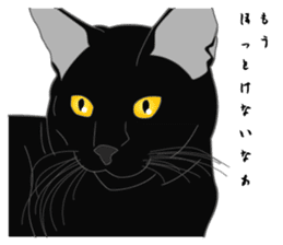 Love of Rial-based black cat sticker #8207167