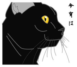 Love of Rial-based black cat sticker #8207172