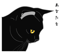 Love of Rial-based black cat sticker #8207174