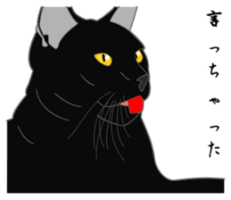 Love of Rial-based black cat sticker #8207176