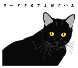 Love of Rial-based black cat sticker #8207178