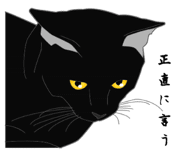 Love of Rial-based black cat sticker #8207184