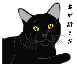 Love of Rial-based black cat sticker #8207185