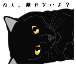 Love of Rial-based black cat sticker #8207186