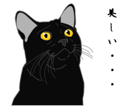Love of Rial-based black cat sticker #8207188