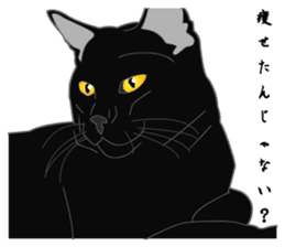 Love of Rial-based black cat sticker #8207190