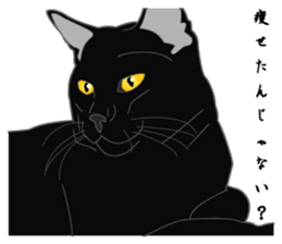 Love of Rial-based black cat sticker #8207190