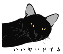 Love of Rial-based black cat sticker #8207191