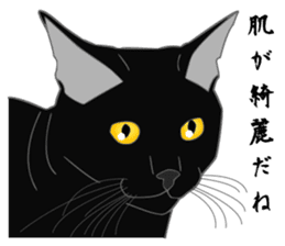 Love of Rial-based black cat sticker #8207192