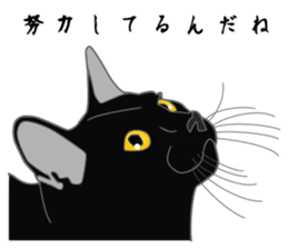 Love of Rial-based black cat sticker #8207193