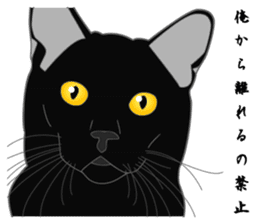 Love of Rial-based black cat sticker #8207194