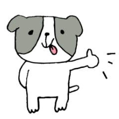 This is not a cat,it is a dog 2