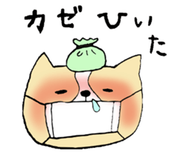 This is not a cat,it is a dog 2 sticker #8209380