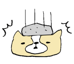 This is not a cat,it is a dog 2 sticker #8209390