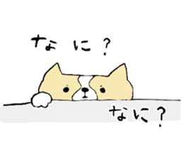 This is not a cat,it is a dog 2 sticker #8209392