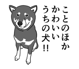 My Shiba inus are so cute. sticker #8212477