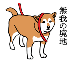 My Shiba inus are so cute. sticker #8212478