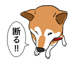 My Shiba inus are so cute. sticker #8212485
