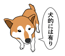 My Shiba inus are so cute. sticker #8212486