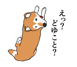 My Shiba inus are so cute. sticker #8212492