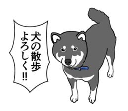 My Shiba inus are so cute. sticker #8212499