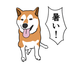 My Shiba inus are so cute. sticker #8212508