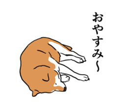 My Shiba inus are so cute. sticker #8212515