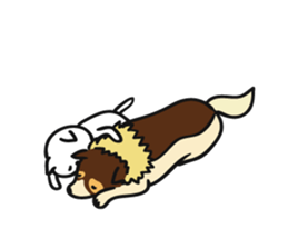 Intently sleepy cat 3 sticker #8214866