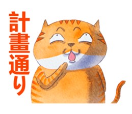 CAT!DIDI! I just want to say sticker #8215717