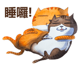 CAT!DIDI! I just want to say sticker #8215729