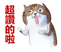 CAT!DIDI! I just want to say sticker #8215730