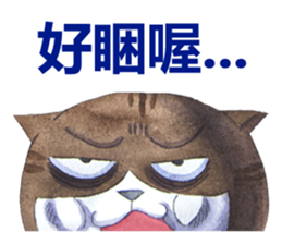 CAT!DIDI! I just want to say sticker #8215731