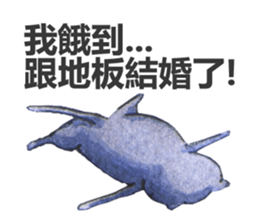 CAT!DIDI! I just want to say sticker #8215739