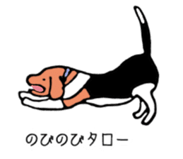 Beagle Taro Part 2 sticker #8220268